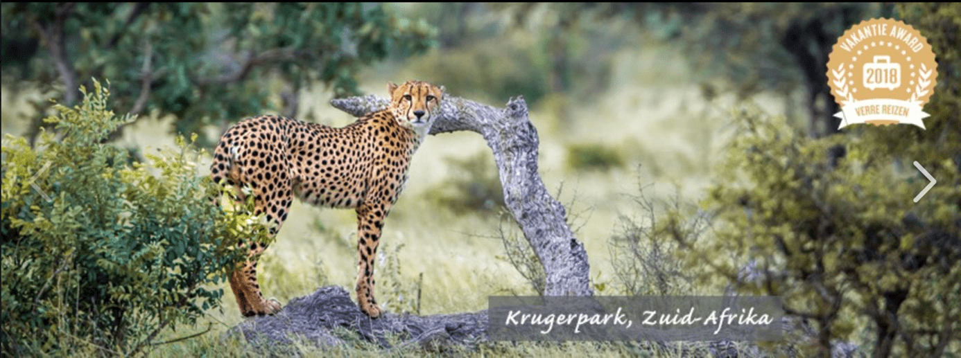 Tenzing header
